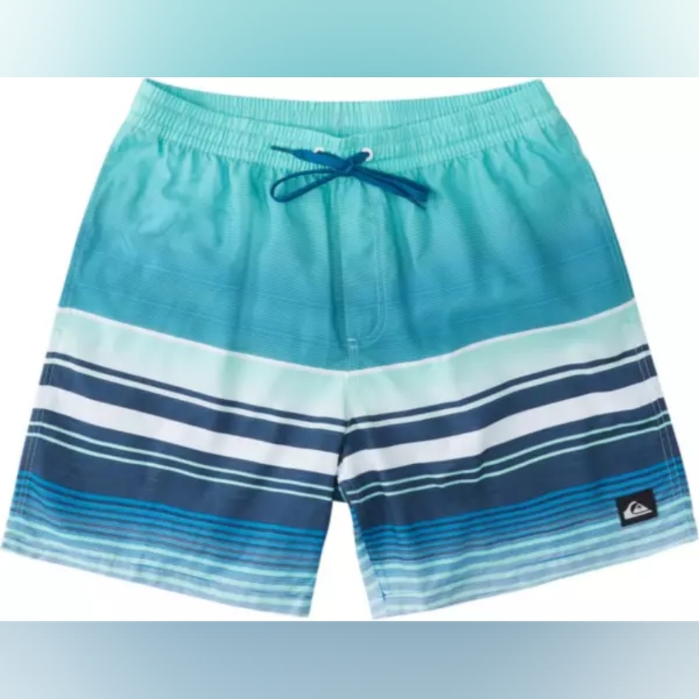 Quiksilver d swell vision volley 17 shorts